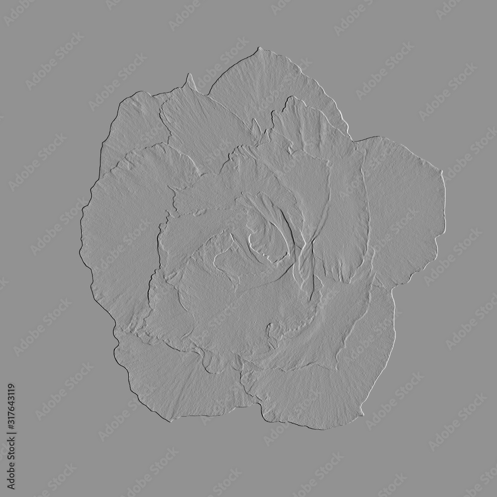 Embossed skin of flowers and leaves in gray tones Embossed skin of flowers and leaves in gray tones