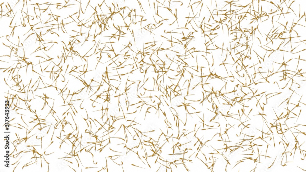 Wheat crop beautiful illustration Wheat crop beautiful illustration