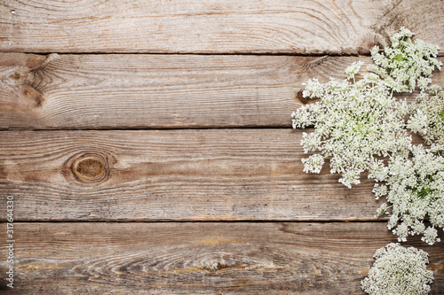 white wildflowers on old wooden background