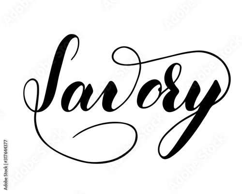 Vector hand written savory text isolated on white background. Kitchen healthy herbs and spices for cooking. Script brushpen lettering with flourishes. Handwriting for banner, poster, product label