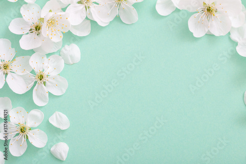 cherry flowers on paper background photo