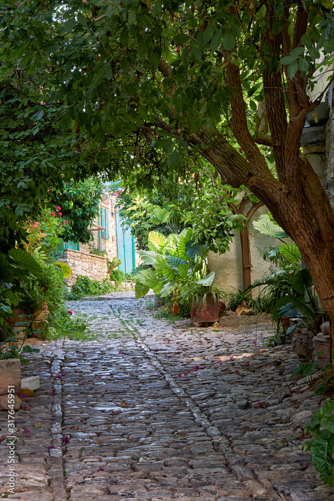 The stone paved narrow street under the canopy of trees in the Lania village. Limassol. Cyprus