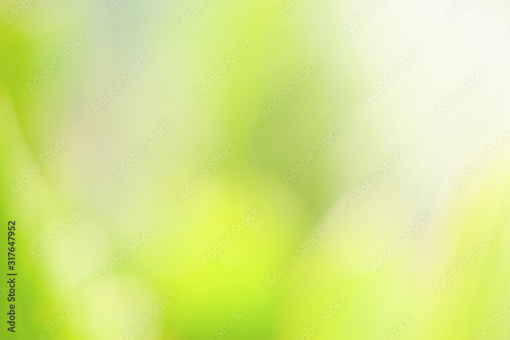 Obraz premium closeup nature view of blurred green leaf on background and sunlight, fresh wallpaper concept