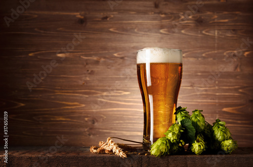 Canvas Print Beautiful tasty beer with foam in glass glass with hops cones and wheat ears on
