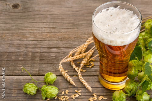 Single glass with Ipa beer, wheat ears, green hop cones on wooden background with copy space