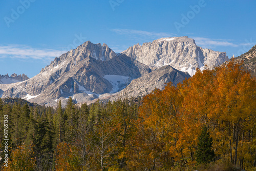 Autumn View of Trees and Mountains
