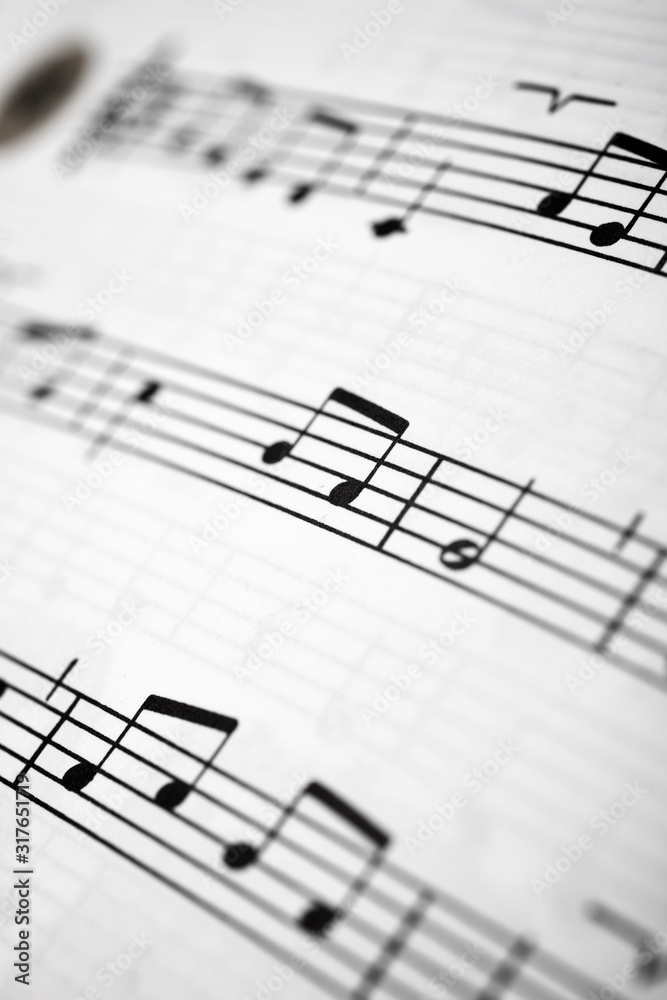 Fototapeta premium Widok nut