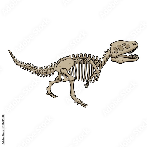 T-rex dinosaur fossil skeleton, cartoon style. Flat vector illustration isolated on white background.