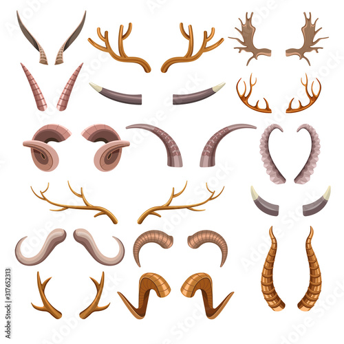 Horns collection with colorful hunting trophies of animals