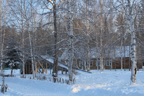Winter snow in forest and sun nature winter background