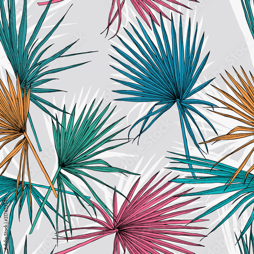 Seamless pattern with image of a Exotic leaves fan palm. Vector illustration.