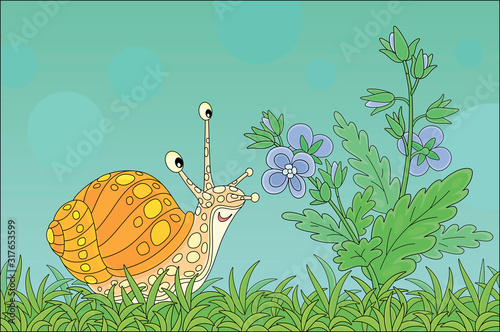Funny garden snail friendly...