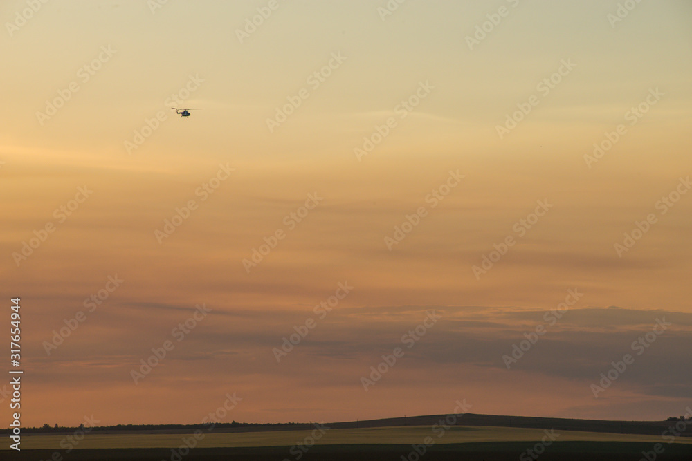 a field of Golden wheat in the rays of sunset and a plane flies over the field