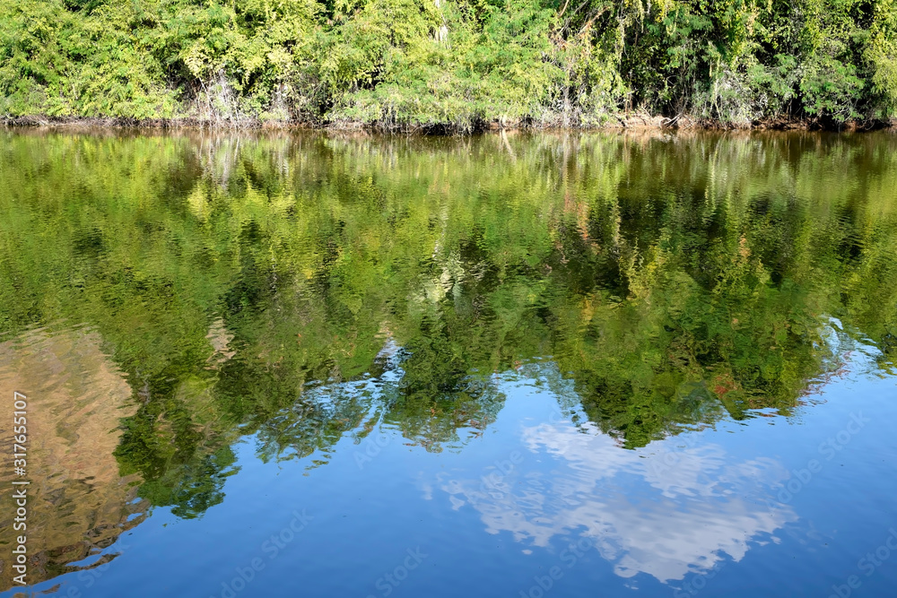 green trees, bushes, grass, blue sky, cloud are reflected in water surface of river, pond, lake in the natural park. green trees, bushes, grass, blue sky, cloud are reflected in water surface of river, pond, lake in the natural park.
