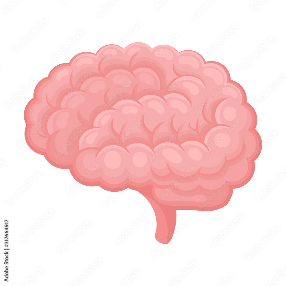 Brain Organ Isolated on White Background Vector Item Brain Organ Isolated on White Background Vector Item