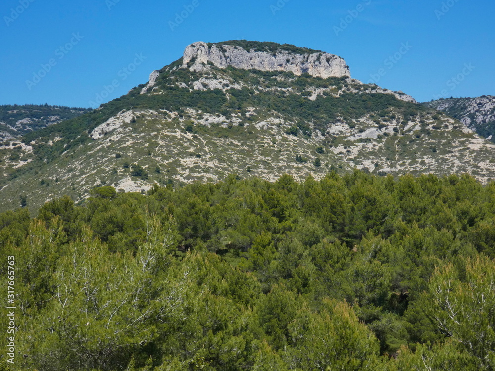 Photo of a beautiful landscape with a provencal mountain and in the foreground a forest of trees. This photo was taken in the Luberon in Provence.