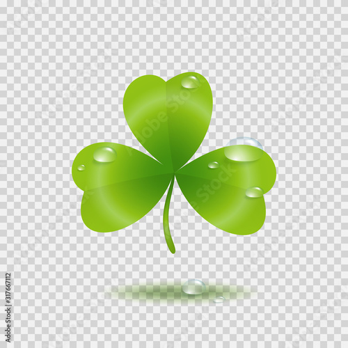 Shamrock leaf with water drops isolated on transparent background. Green Irish symbol Good Luck. Vector clover icon for St Patrick's Day greeting card design.