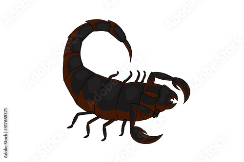 Black and red scorpion.