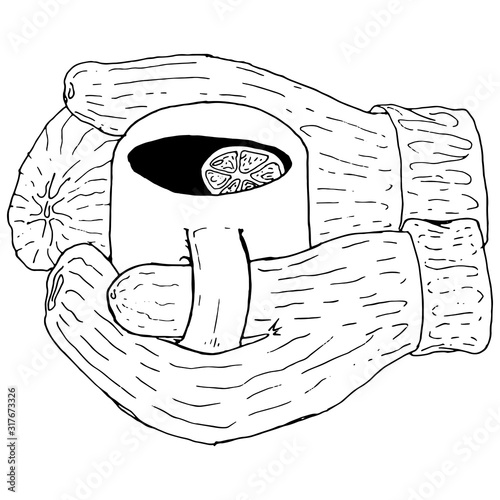 Hands with gloves hold a cup of tea. Vector illustration of tea with lemon in hands. Hand drawn  hands in warm gloves hold a mug of hot tea with a lemon in the winter.