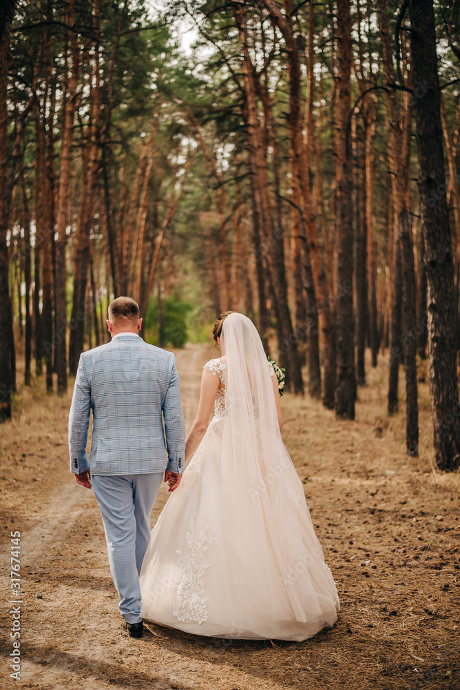 Newlyweds are walking in a pine forest vertical photo Newlyweds are walking in a pine forest vertical photo