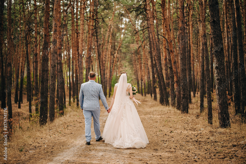Newlyweds are walking in a pine forest Newlyweds are walking in a pine forest