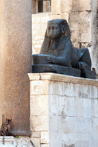 Cat sitting by th black granite Egyptian sphinx on Peristyle, central square of the Diocletian palace in Split, Croatia