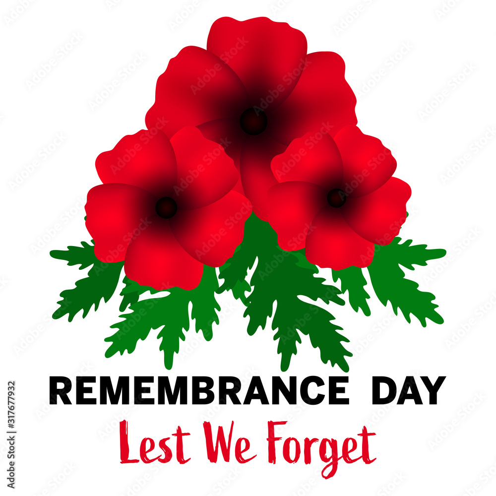 Symbol Of Remembrance Flowers Best Flower Site