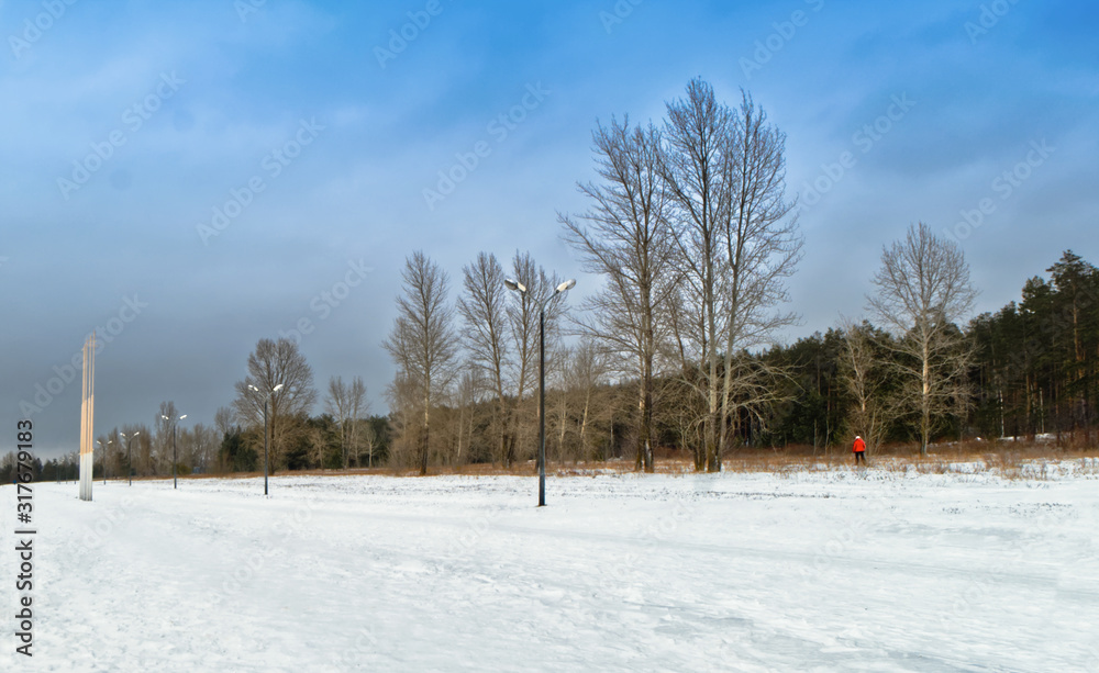 Naklejka premium One skier in a red jacket for a walk in a city park.