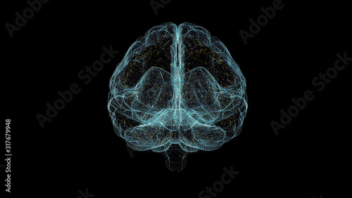 Fototapeta Naklejka Na Ścianę i Meble -  Brain Hologram Wireframe. Nice 3D Render on a black background