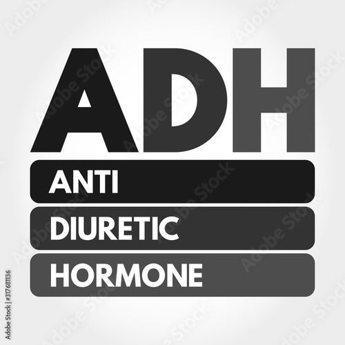 ADH - Antidiuretic Hormone acronym, concept background