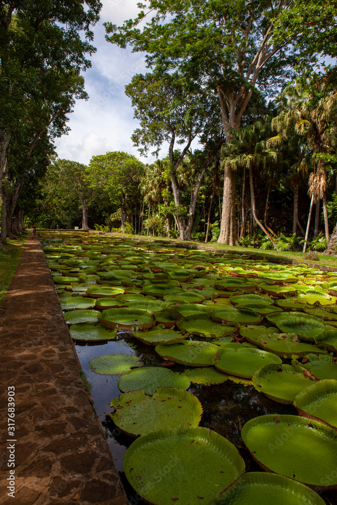 Fototapeta premium Mauritius