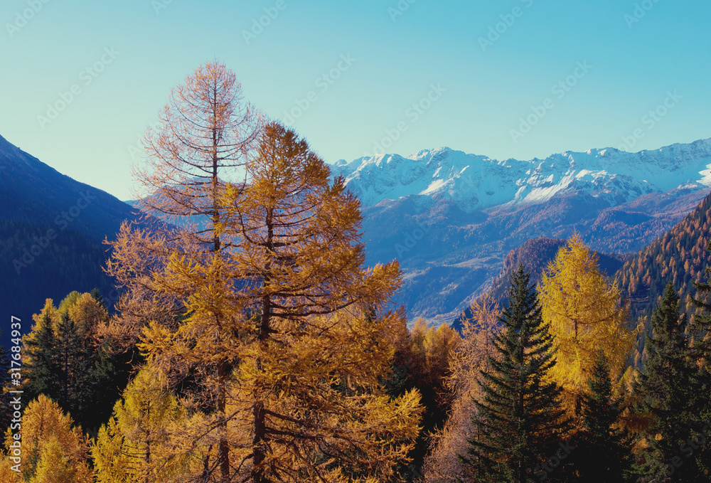 Autumnal view of the mountains