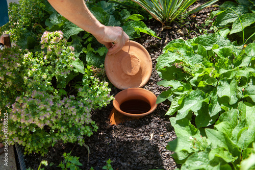 réservoir d'eau en terre cuite dans un jardin