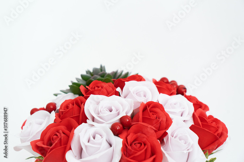 Buds of red and white roses on a white background.