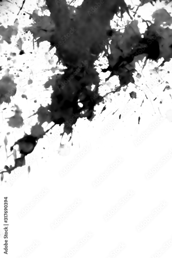 japan black ink style splatter stroke paint brush paint paper texture isolated on white background.