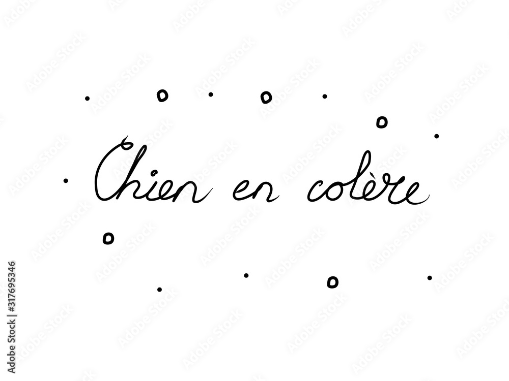 Chien en colère phrase handwritten with a calligraphy brush. Angry dog in French. Modern brush calligraphy. Isolated word black