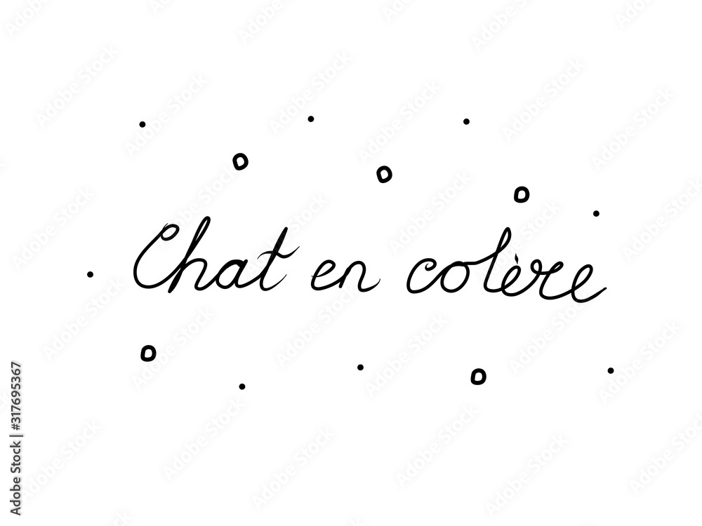 Chat en colère phrase handwritten with a calligraphy brush. Angry cat in French. Modern brush calligraphy. Isolated word black