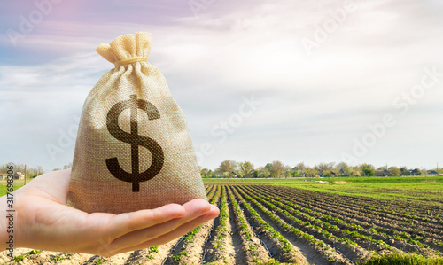 Money bag on the background of agricultural crops in the hand of the farmer. Agricultural startups. Profit from agribusiness. Lending and subsidizing farmers. Grants and support. Land value and rent. photo