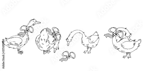 Cute geese in different poses. Line art. Vector illustration.