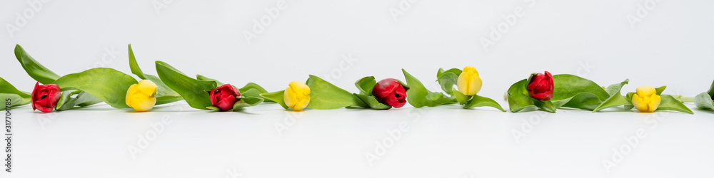 Red and yellow tulips lying on a white surface Red and yellow tulips lying on a white surface