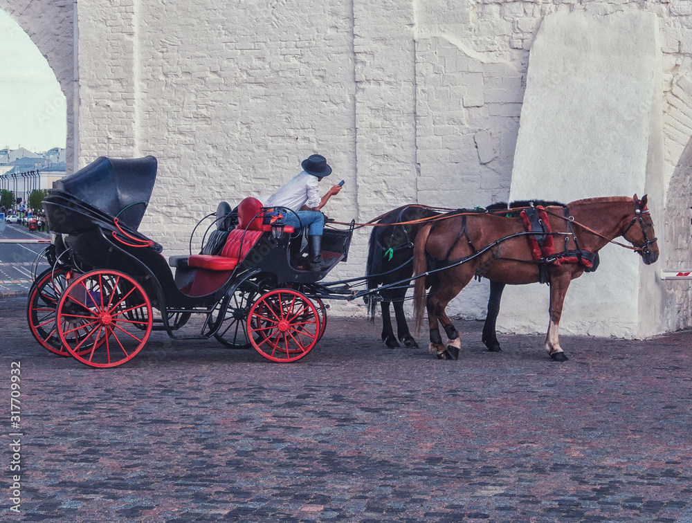 Horse and a beautiful old carriage