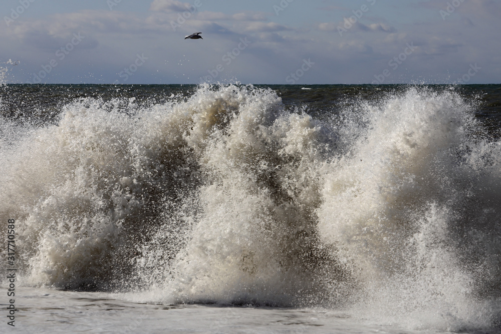 Fototapeta premium waves crashing on the beach