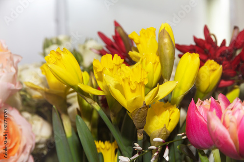 bright fresh flowers in a flower shop 