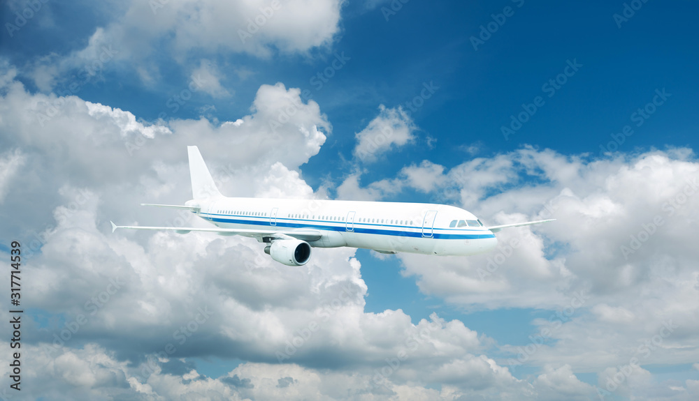 Obraz premium Large passenger plane