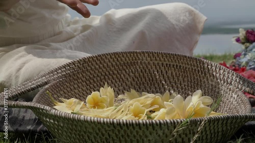 Woman hand holding yellow flowers ylang ylang and putting in basket
