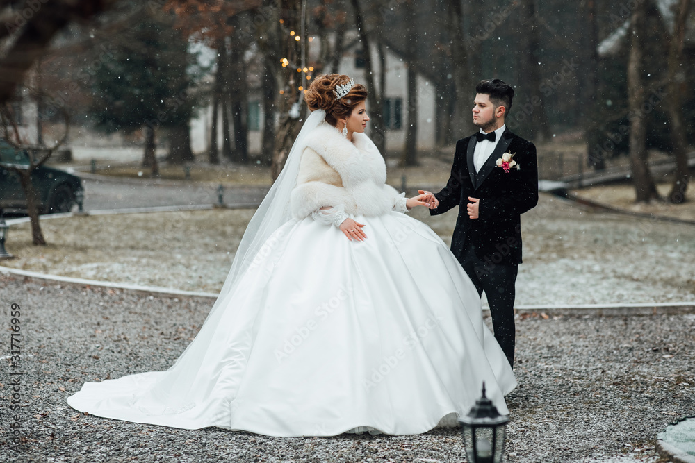 Wedding couple in winter. Groom and bride together. Lush white dress and veil. Bride is a brunette. The groom in a black suit. A couple is walking. The newly married hold hands