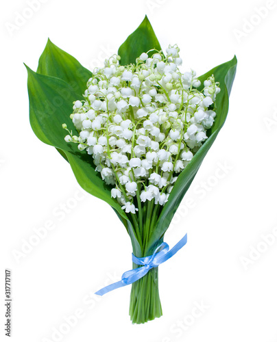 A bouquet of lilies of the valley tied with a blue ribbon. Isolated on white background