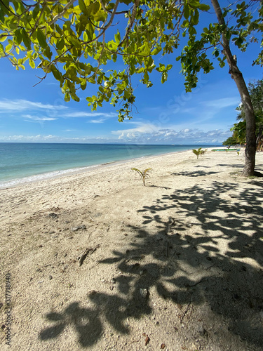 Beautiful shadow in the form of butterflies on a white sandy beach. A tree with green leaves on a background of a turquoise sea and a blue sky with clouds.