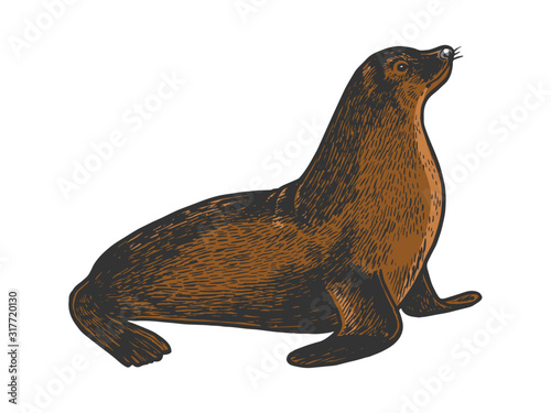 Sea lion seal animal sketch engraving vector illustration. Scratch board style imitation. Black and white hand drawn image.