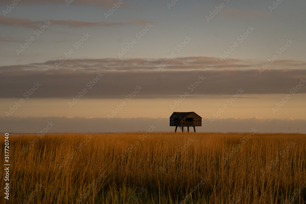 Bird spotting cabin Bird spotting cabin